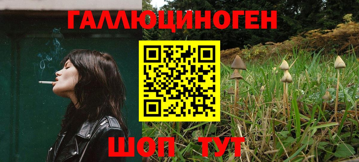 Псилоцибиновые грибы мицелий Павлово