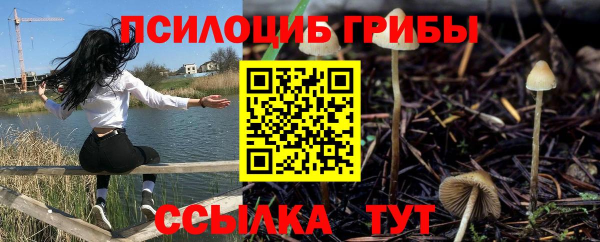 Псилоцибиновые грибы прущие грибы  Вход с VPN  Павлово  Псилоцибиновые грибы мицелий 